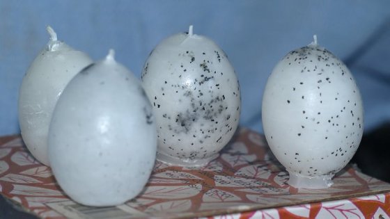 The candles are made in real eggshells. As such, each is individual and unique. They look like candles, but they are actually performance art. ..